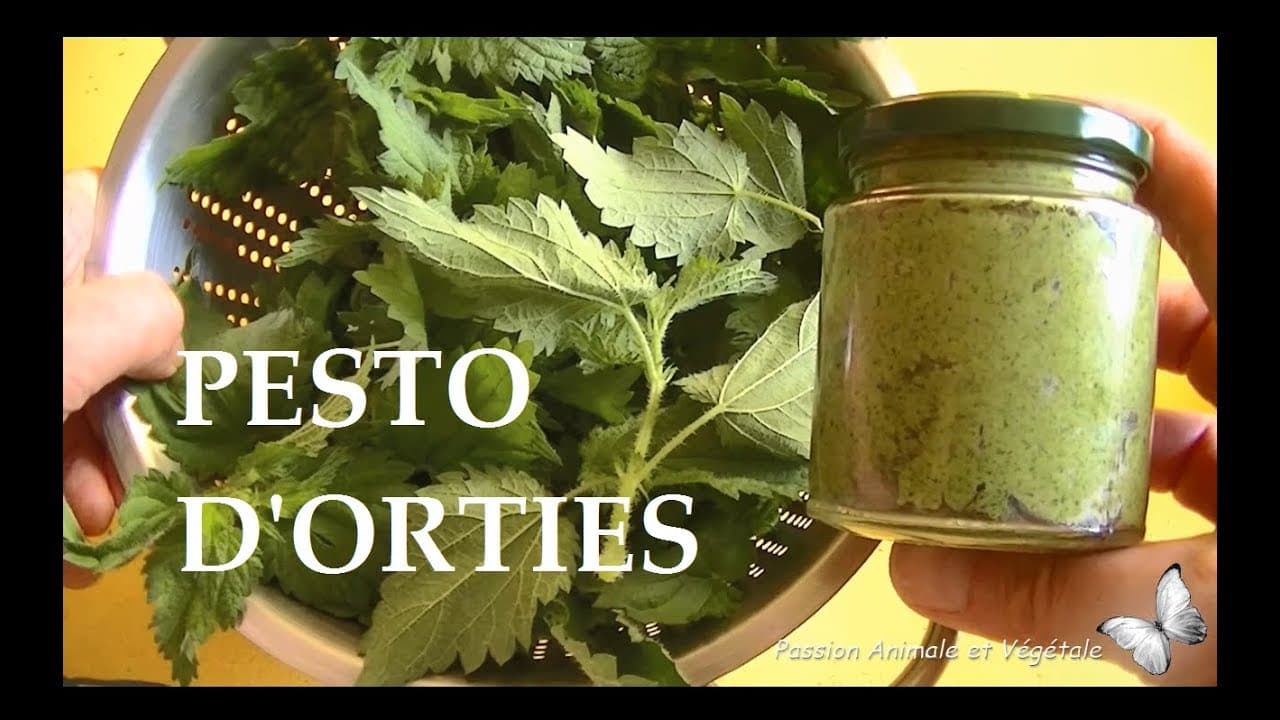 Pesto d'orties
