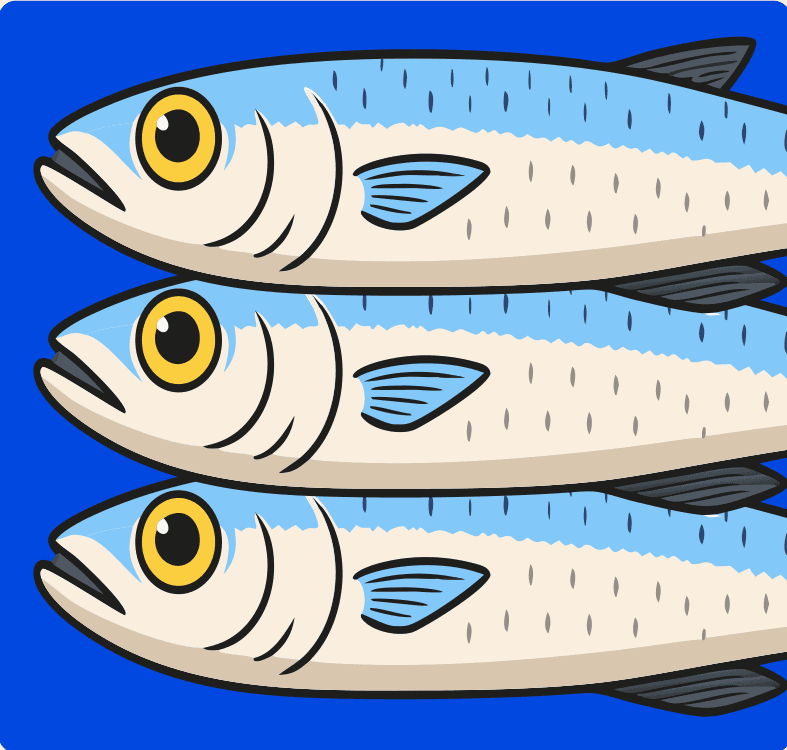 Three illustrated sardines lined up on a blue background